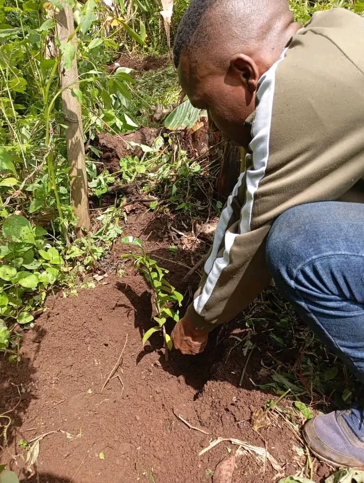 GROWING GREEN FOR A GREENER FUTURE IN DSCHANG