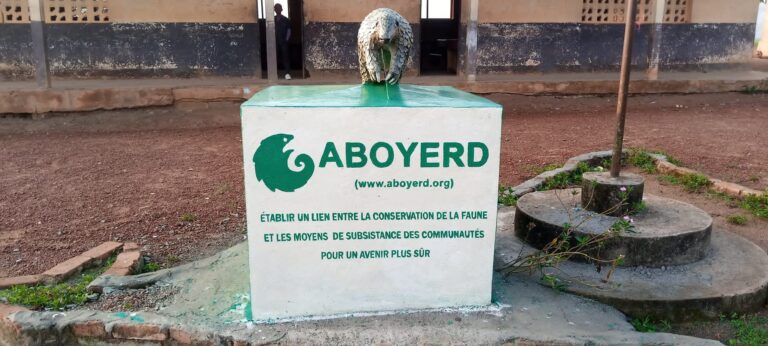 STONEFARMS & ABOYERD: Growing Conservation Together in Campo Ma’an