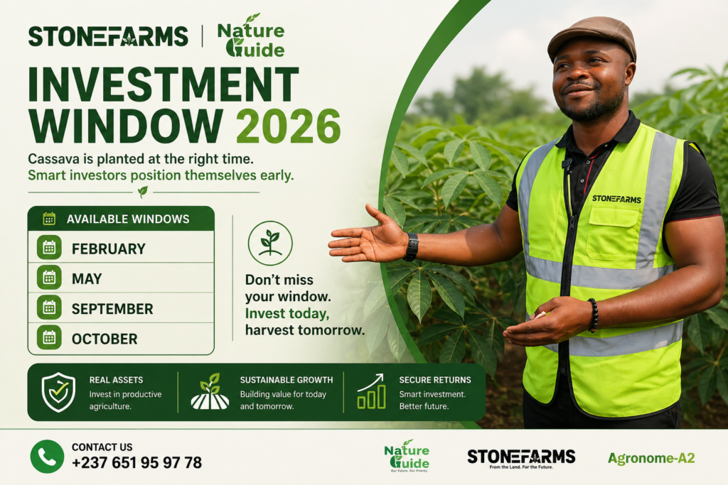 Agricultural Investment Windows for 2026